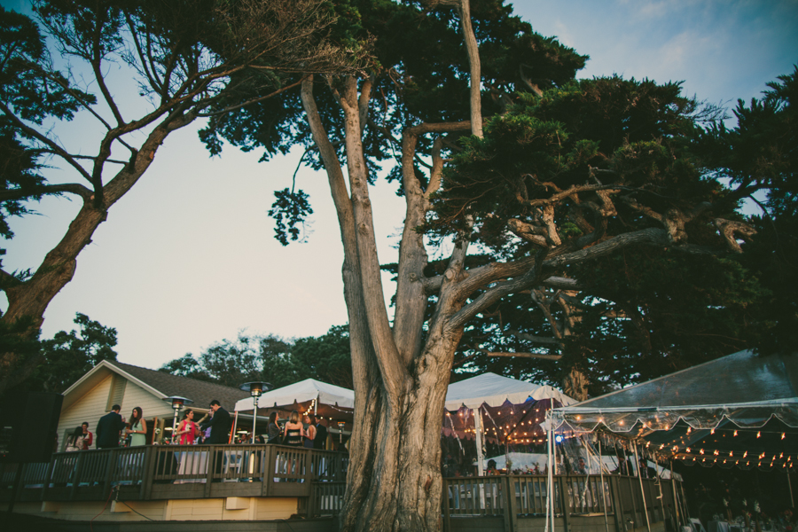 San Diego Wedding-00