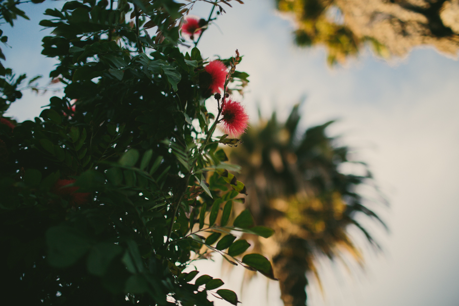 San_Diego_Elopement-50