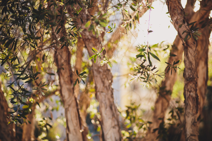 San_Diego_Wedding-0000