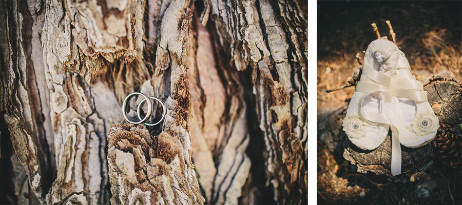Big_Bear_Wedding-a1