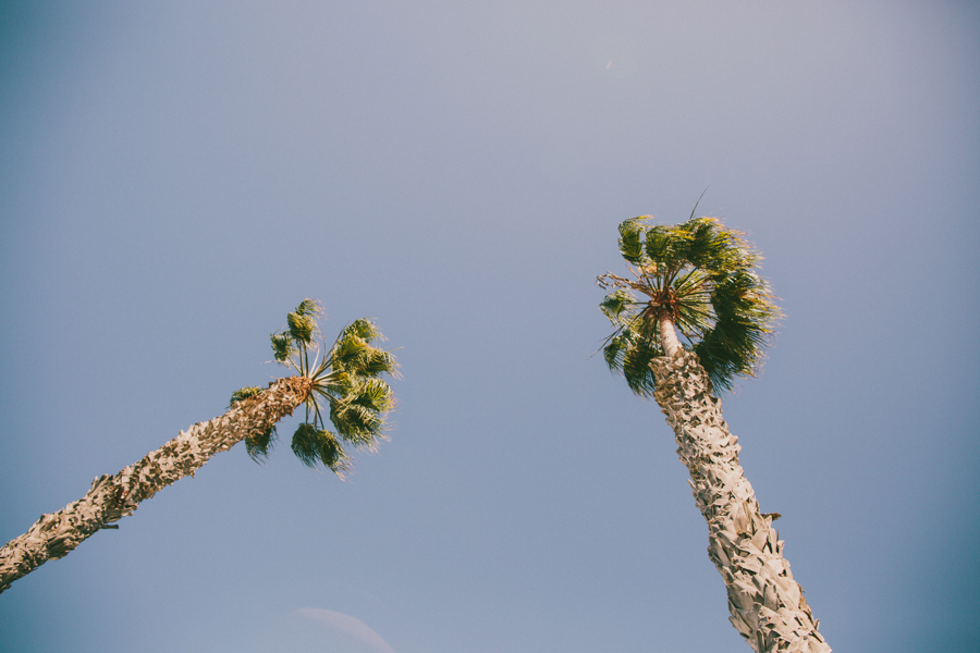 San_Diego_Photographer-11