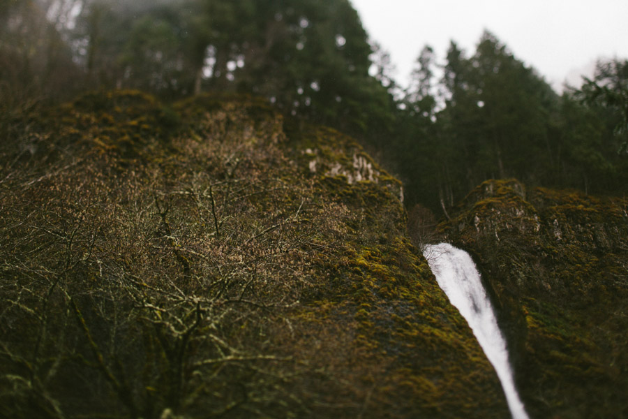 Portland_Photographer-37