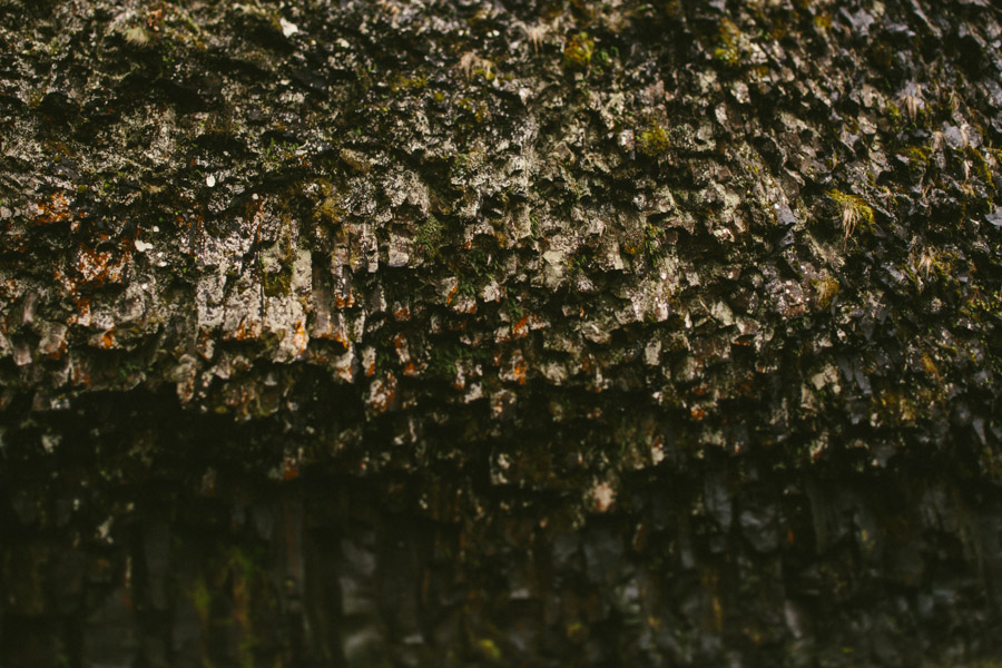Portland_Photographer-40